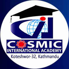 Cosmic International School